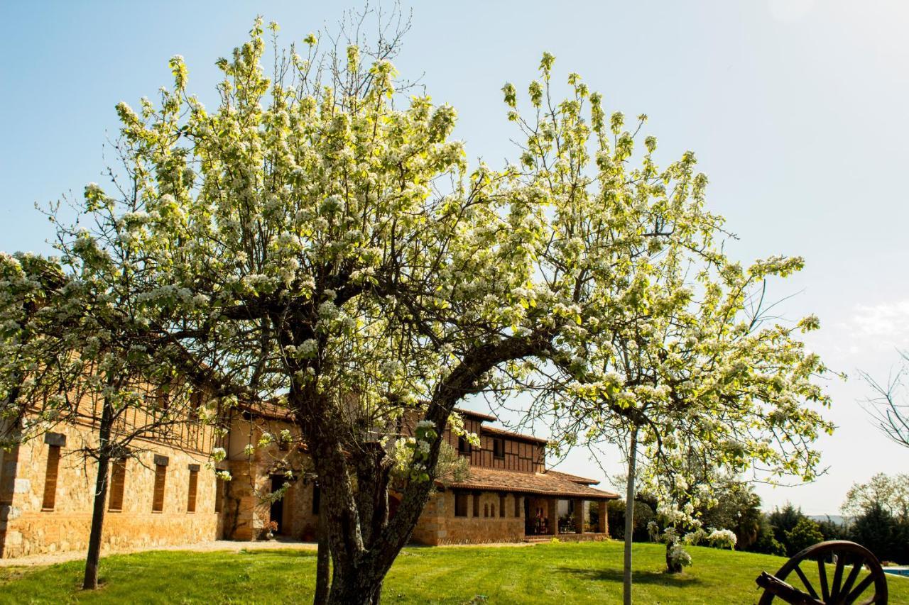 Alcor Del Roble Hotel Collado  Buitenkant foto