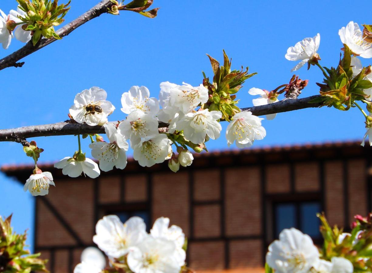 Alcor Del Roble Hotel Collado  Buitenkant foto